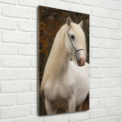 Glass wall art White horse