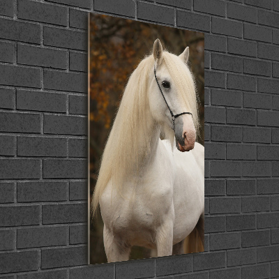 Glass wall art White horse