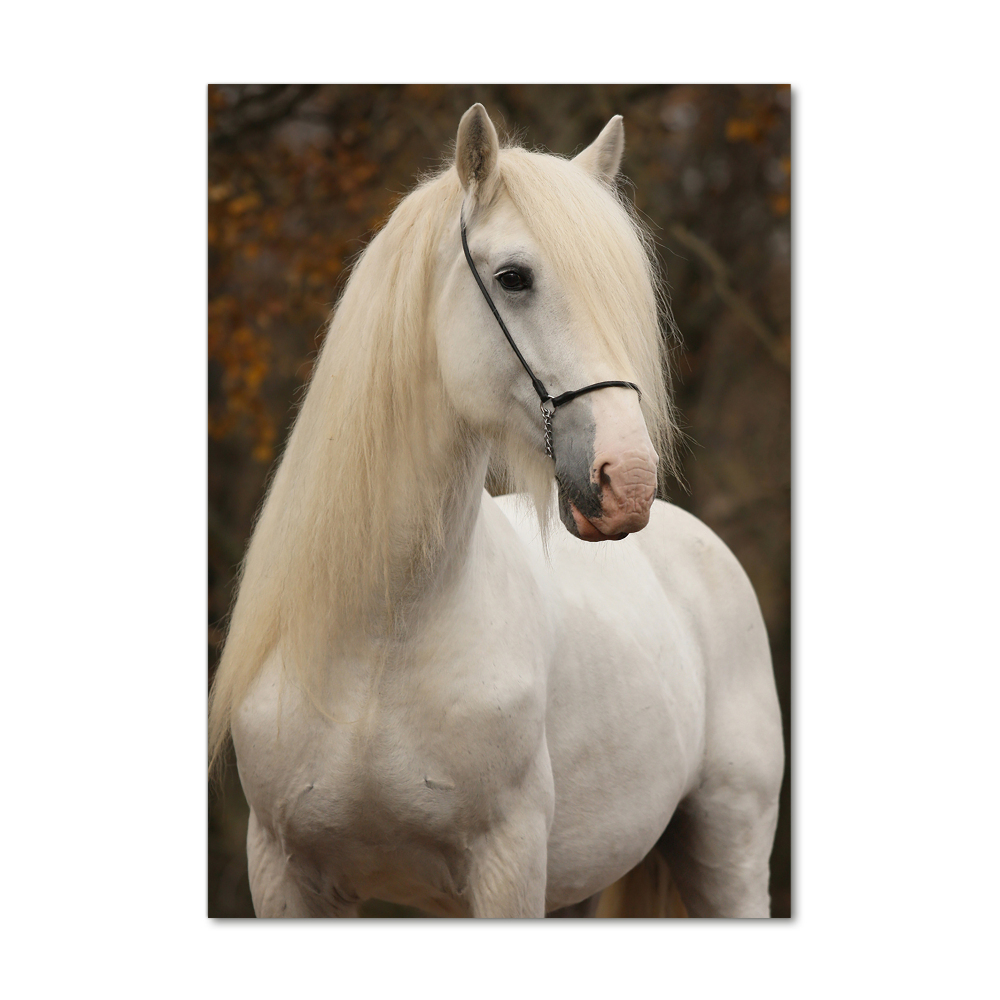 Glass wall art White horse