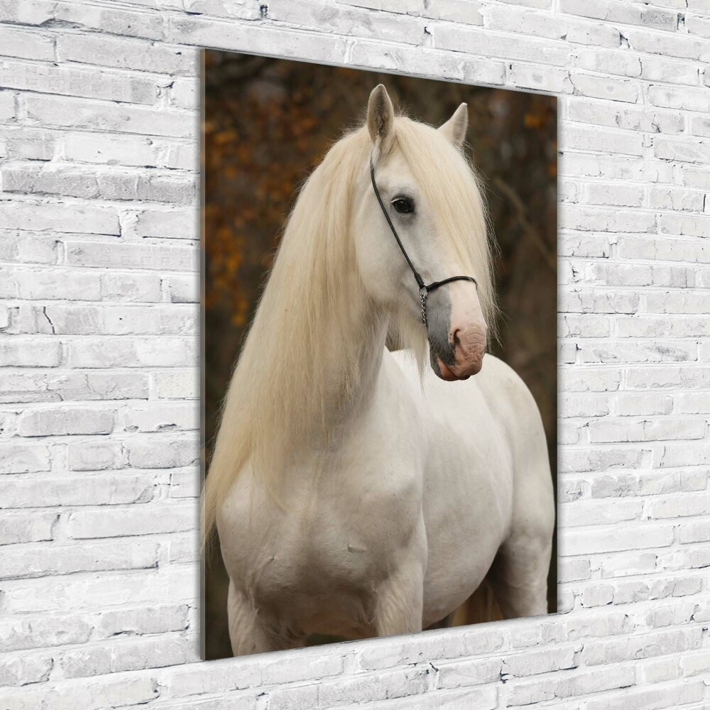 Glass wall art White horse