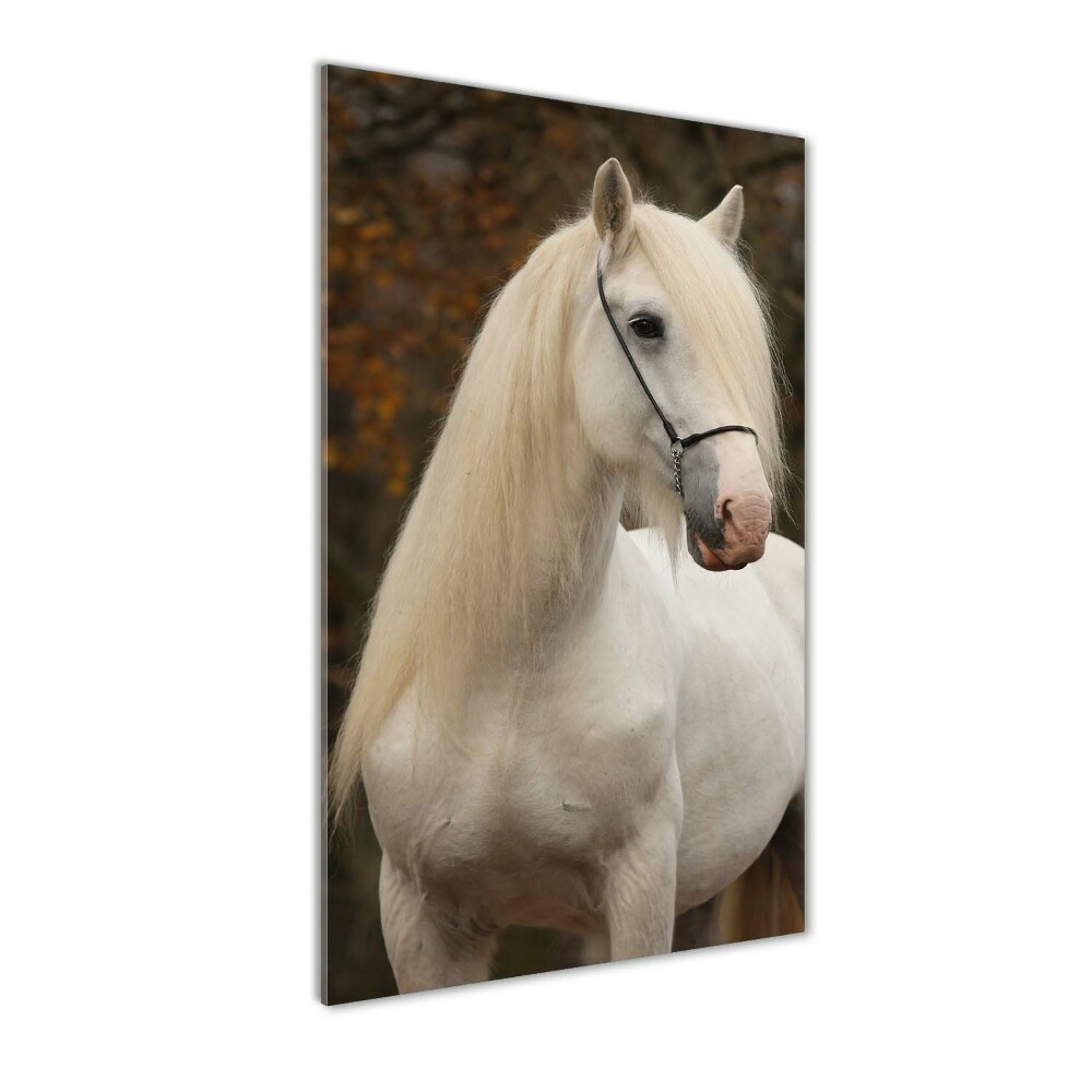 Glass wall art White horse