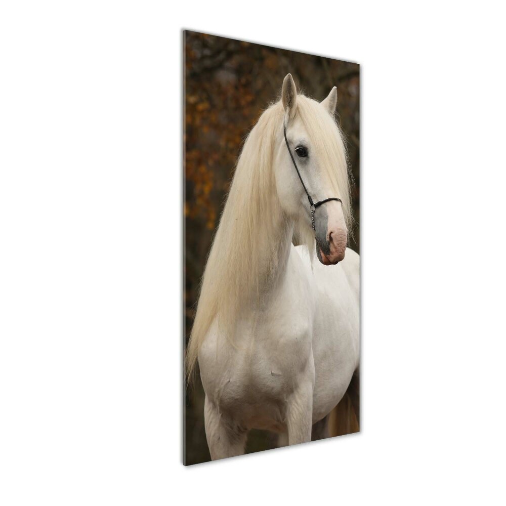 Glass wall art White horse