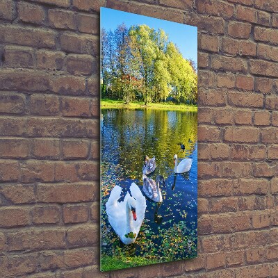 Glass wall art Swans on the pond