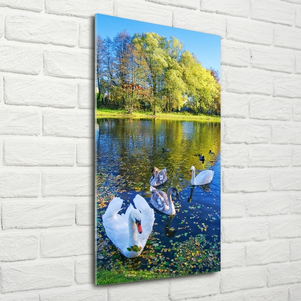 Glass wall art Swans on the pond