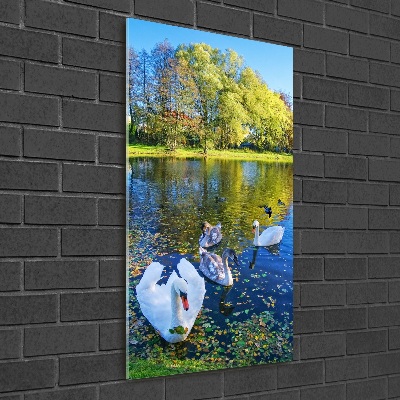 Glass wall art Swans on the pond