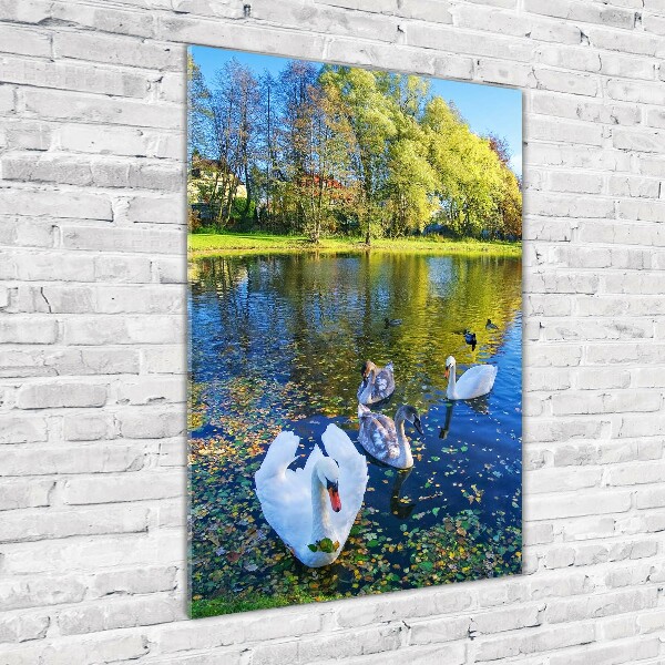 Glass wall art Swans on the pond