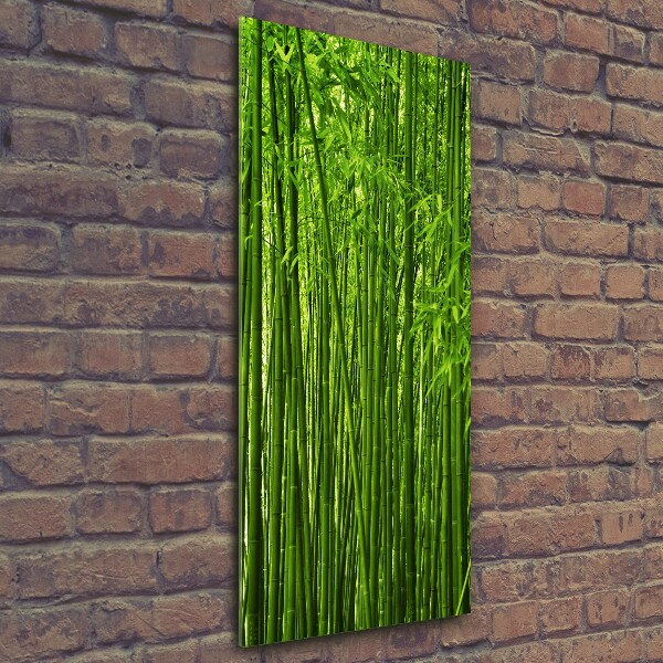 Glass wall art Bamboo forest