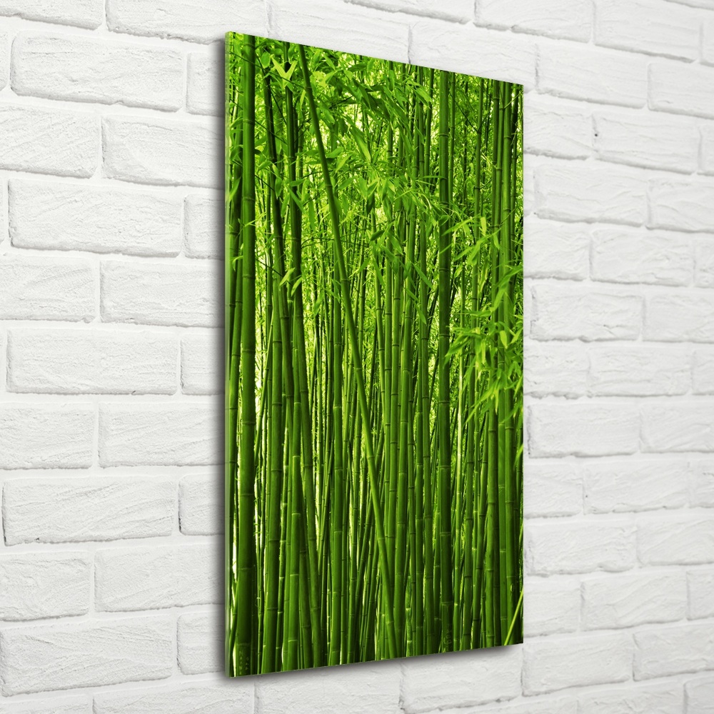 Glass wall art Bamboo forest