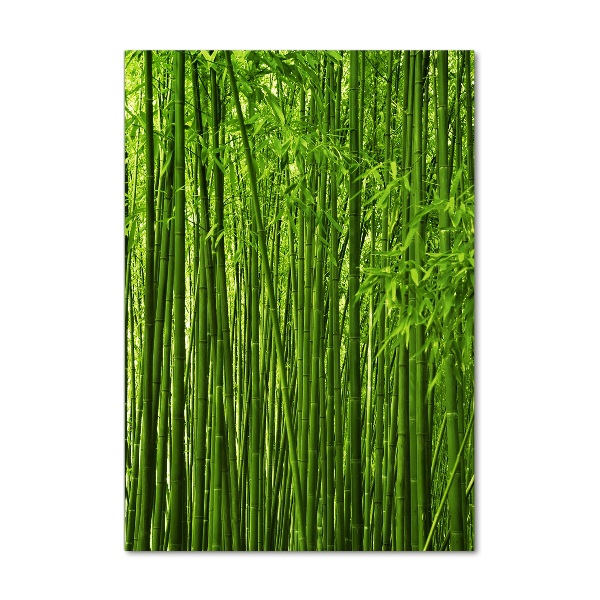 Glass wall art Bamboo forest