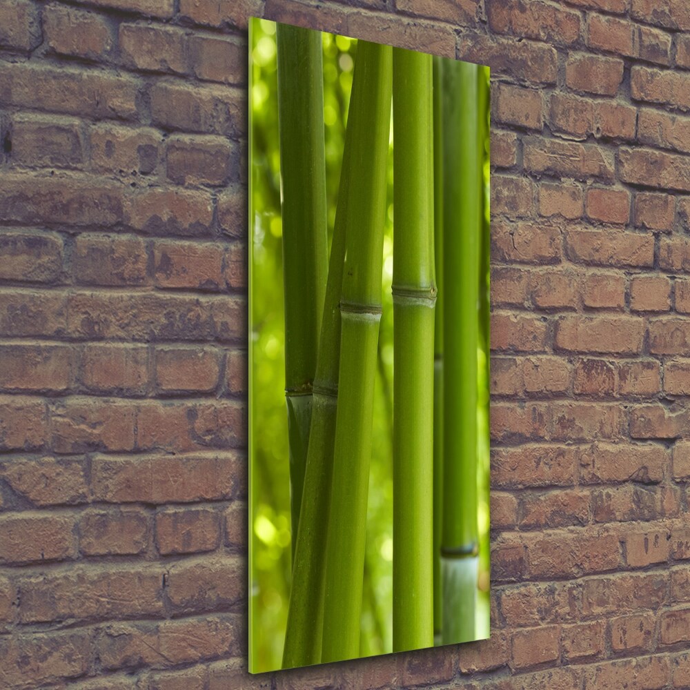 Glass wall art Bamboo forest