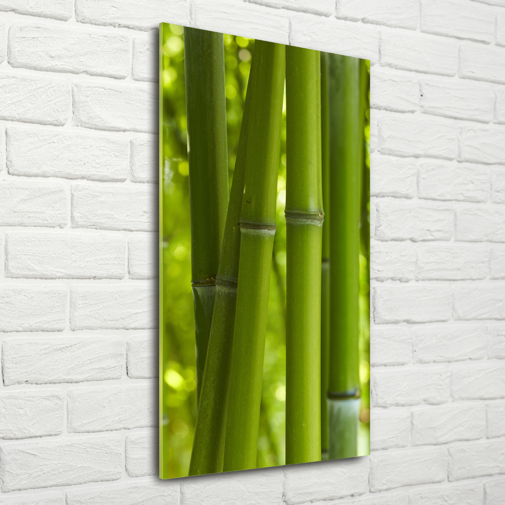 Glass wall art Bamboo forest