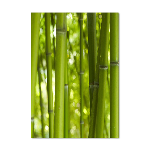 Glass wall art Bamboo forest