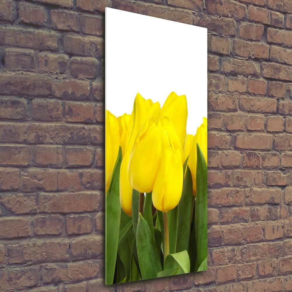 Glass wall art Yellow tulips