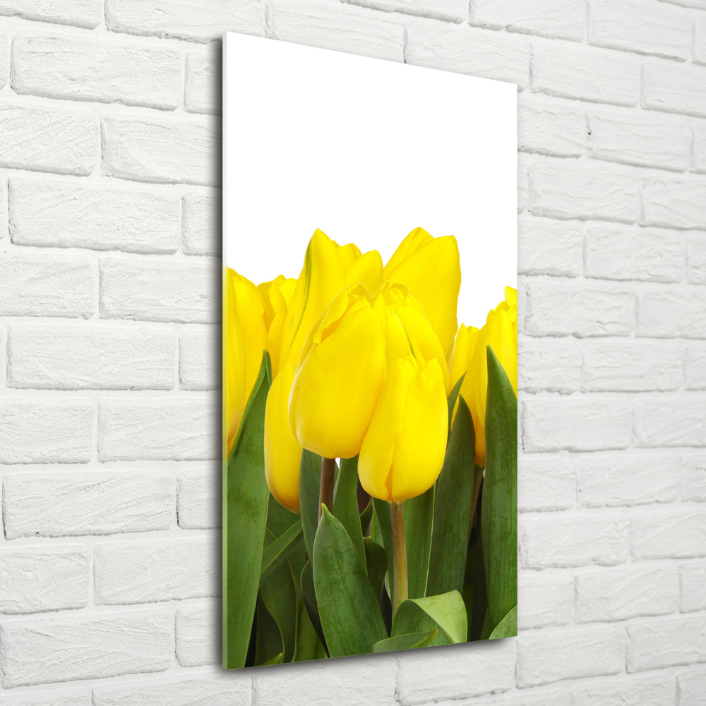 Glass wall art Yellow tulips