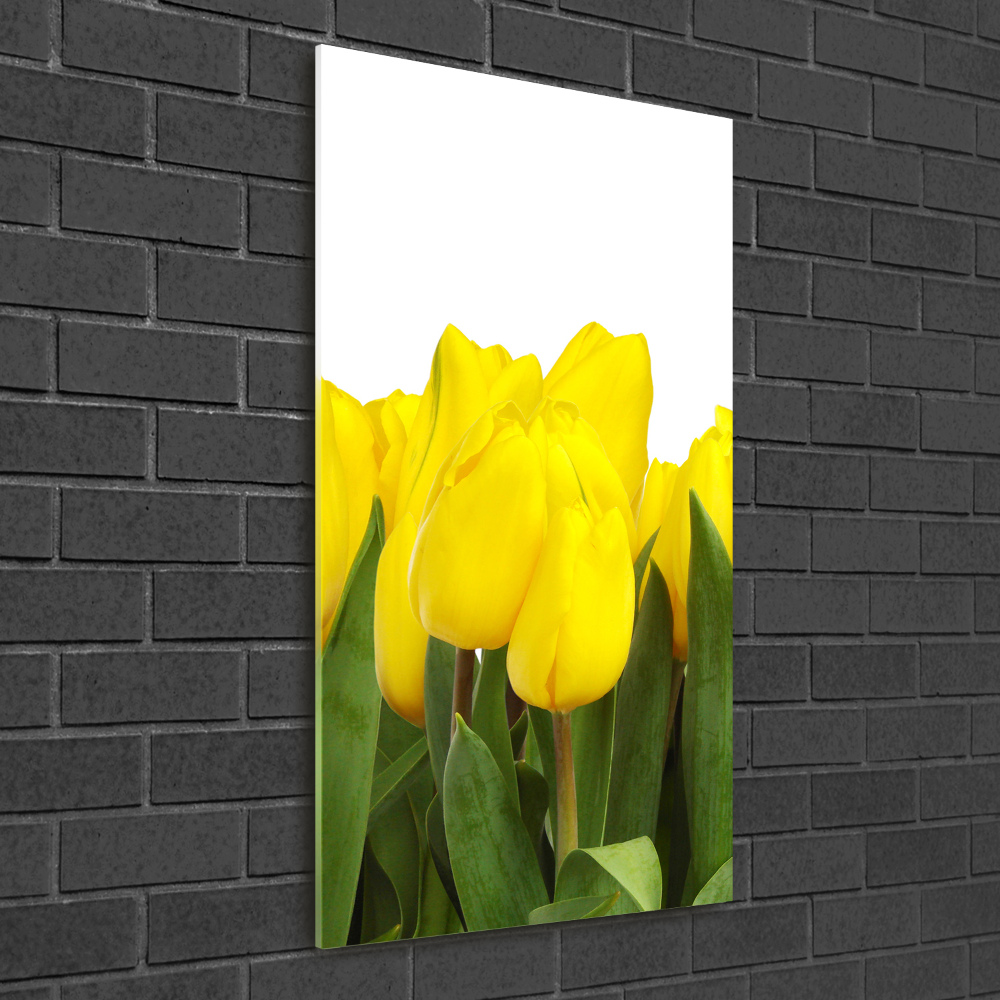 Glass wall art Yellow tulips