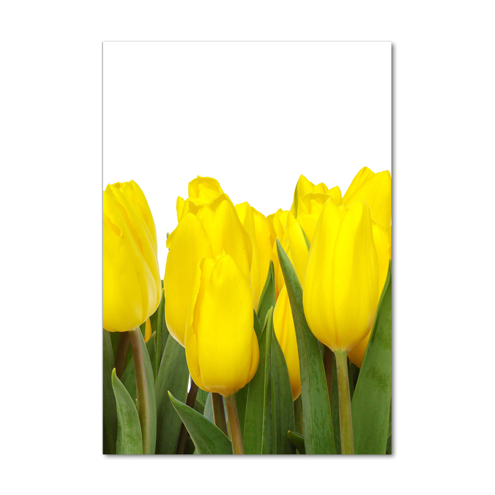 Glass wall art Yellow tulips