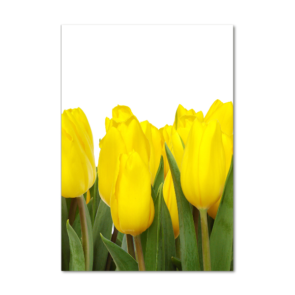 Glass wall art Yellow tulips