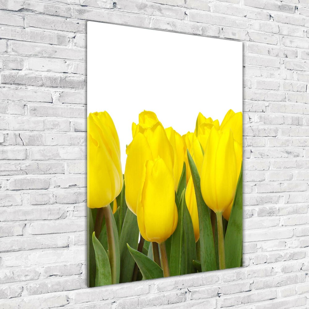 Glass wall art Yellow tulips