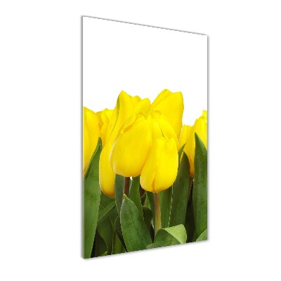 Glass wall art Yellow tulips