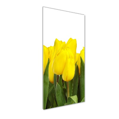 Glass wall art Yellow tulips