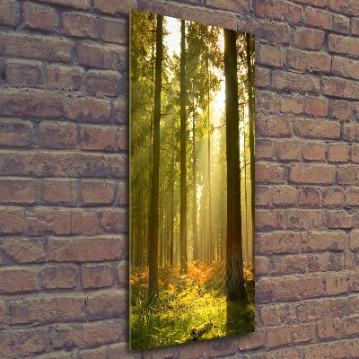 Glass art picture Beautiful forest