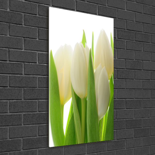 Print on a a glass White tulips