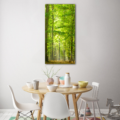 Photo printed on glass Beech forest