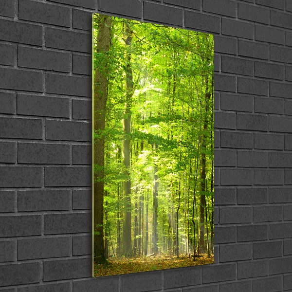 Photo printed on glass Beech forest