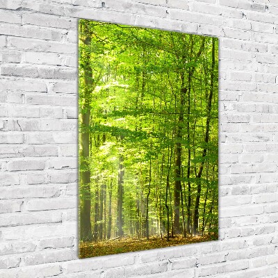 Photo printed on glass Beech forest