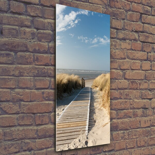 Photo printed on glass Path to the beach