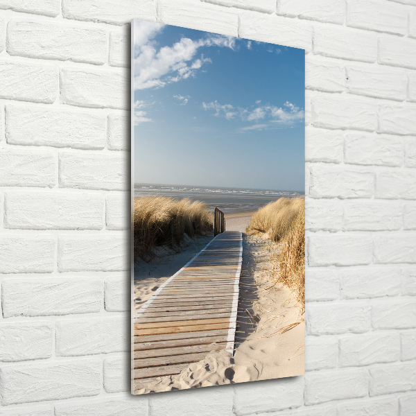 Photo printed on glass Path to the beach