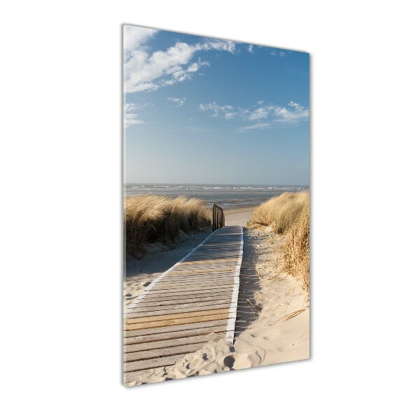 Photo printed on glass Path to the beach