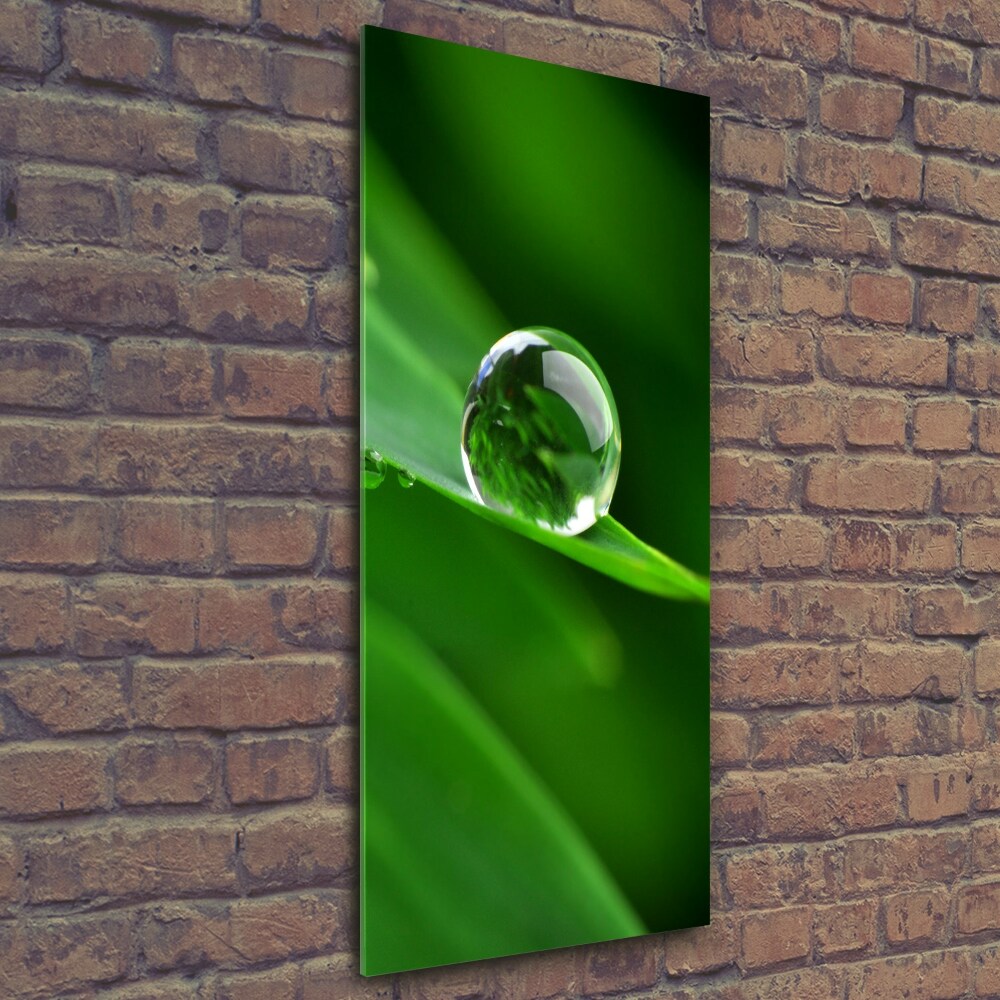 Glass wall art Blade of grass