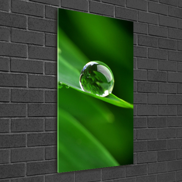 Glass wall art Blade of grass