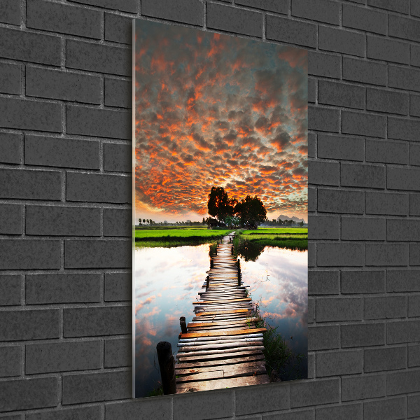 Photo printed on glass Wooden bridge