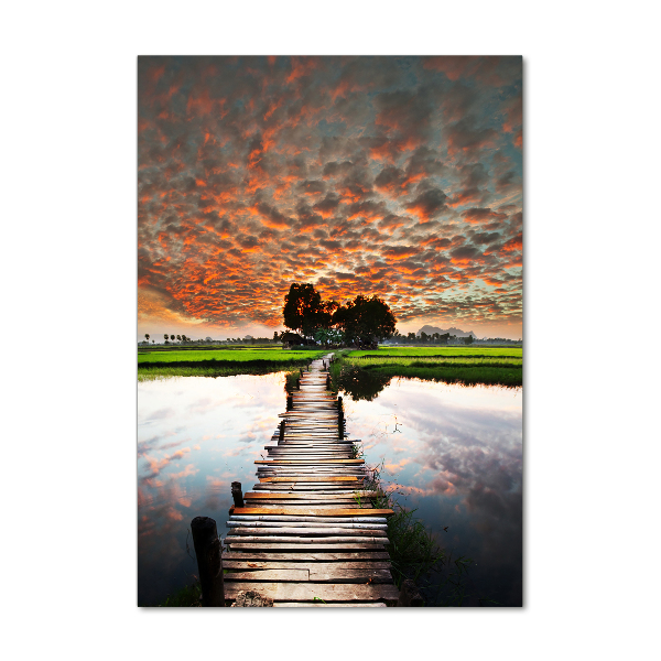 Photo printed on glass Wooden bridge