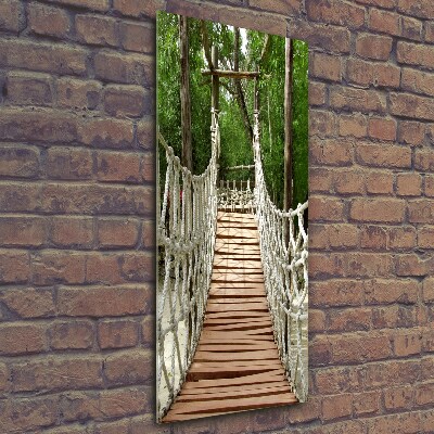 Wall art on glass Rope bridge