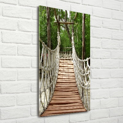 Wall art on glass Rope bridge