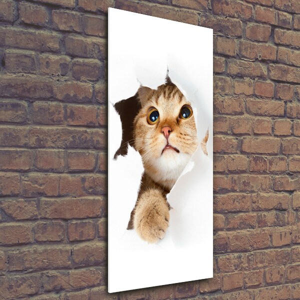 Glass wall art Cat