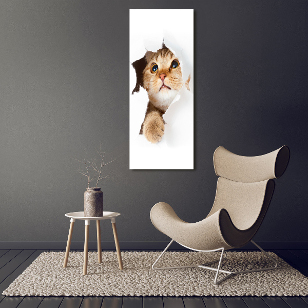 Glass wall art Cat