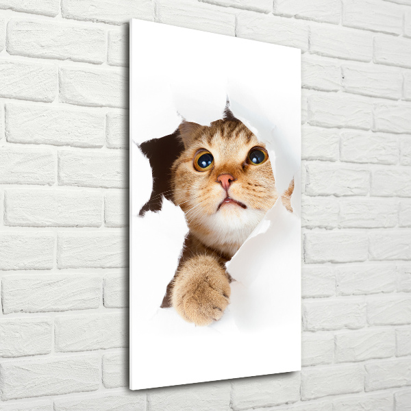 Glass wall art Cat