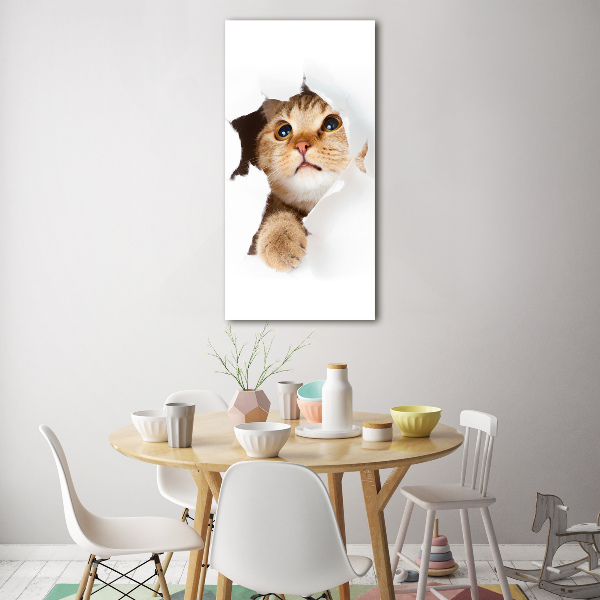 Glass wall art Cat