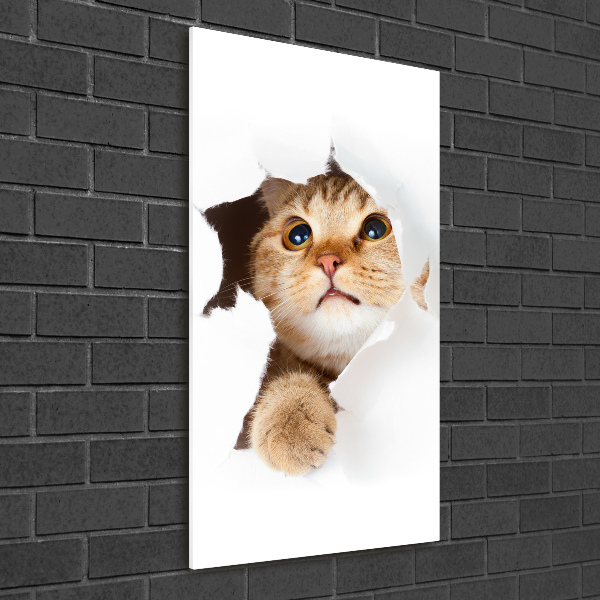 Glass wall art Cat