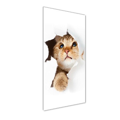 Glass wall art Cat