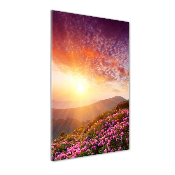 Glass picture wall art Spring in the mountains