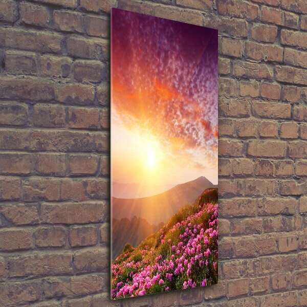 Glass picture wall art Spring in the mountains