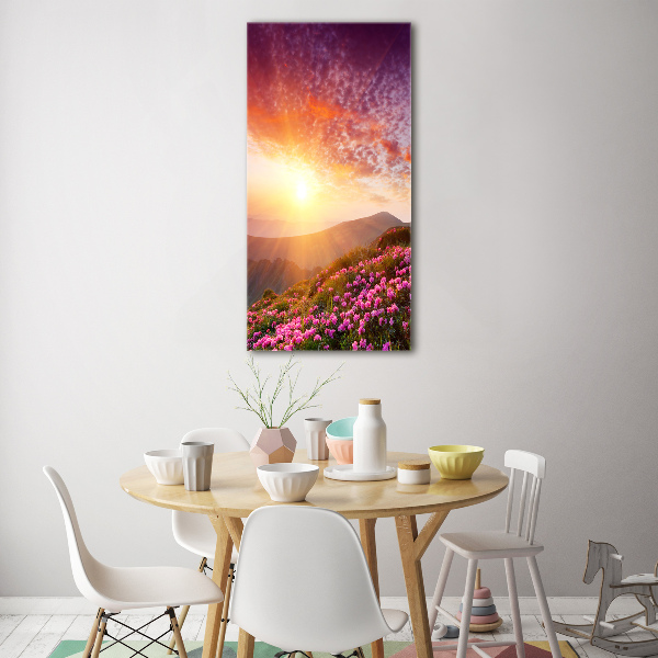 Glass picture wall art Spring in the mountains