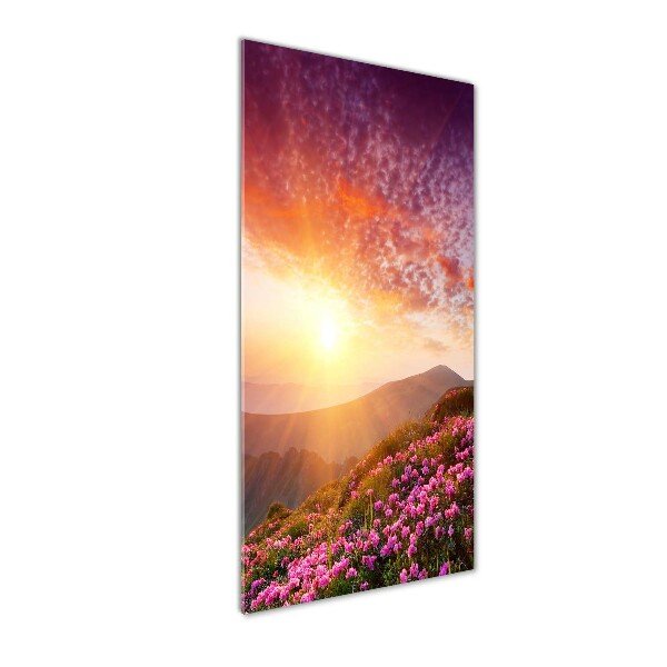 Glass picture wall art Spring in the mountains