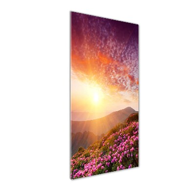 Glass picture wall art Spring in the mountains