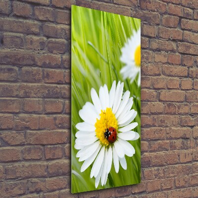 Glass wall art Daisy